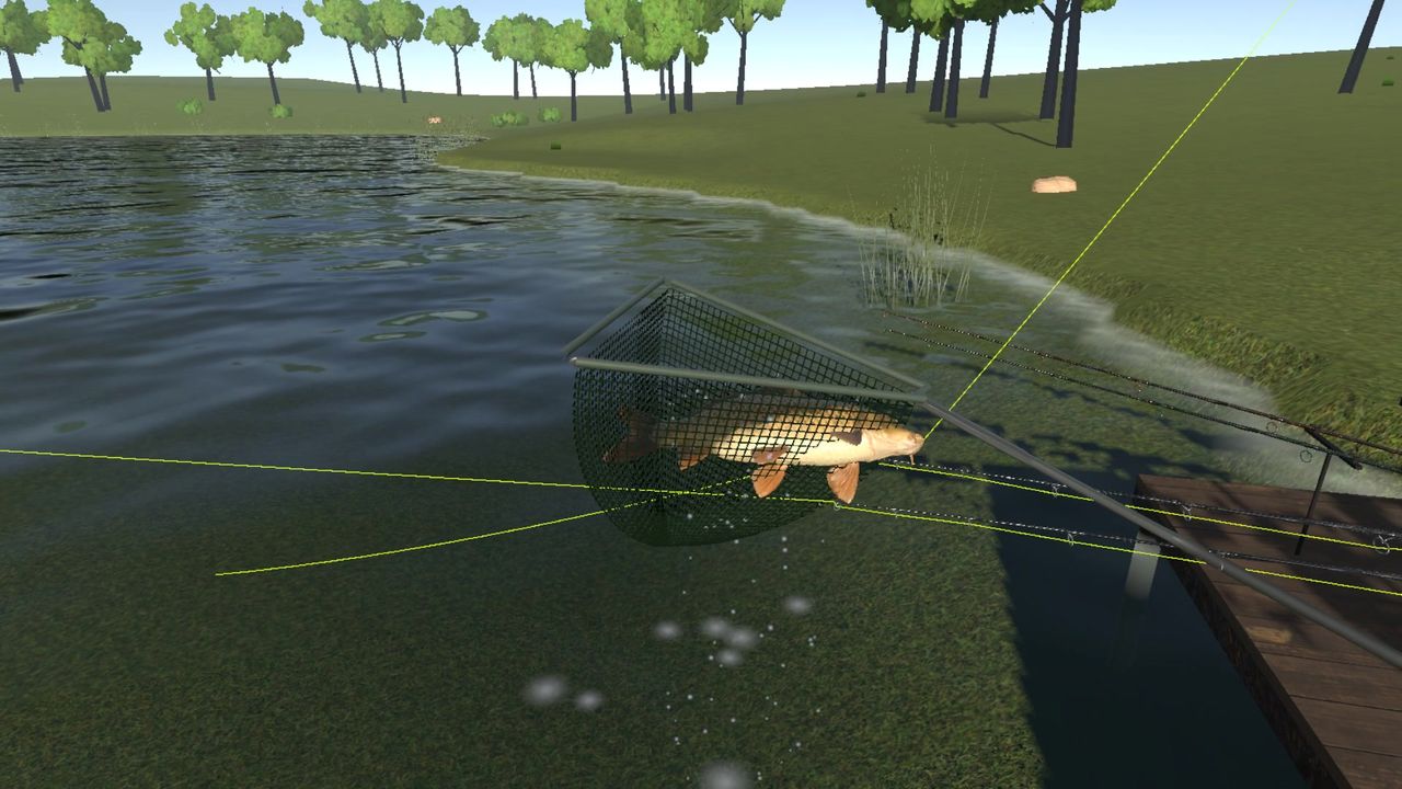 Carp in the landing net