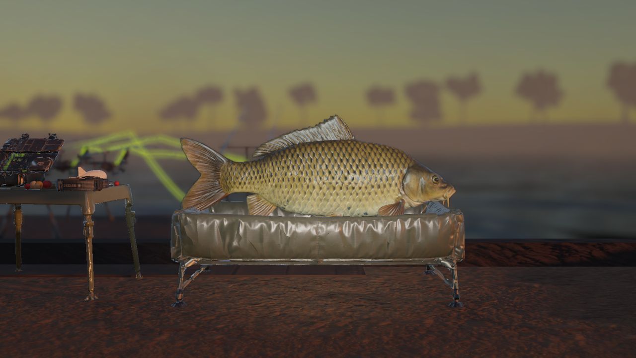 Trophy shot of a common carp