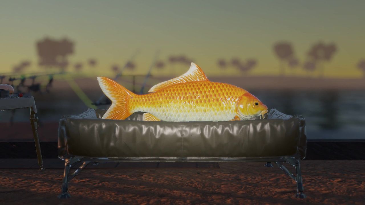Golden carp