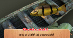 Hooked Monster - Sport Fishing