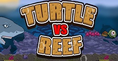 Turtle Vs Reef