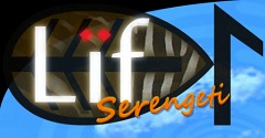 Lif Serengetty